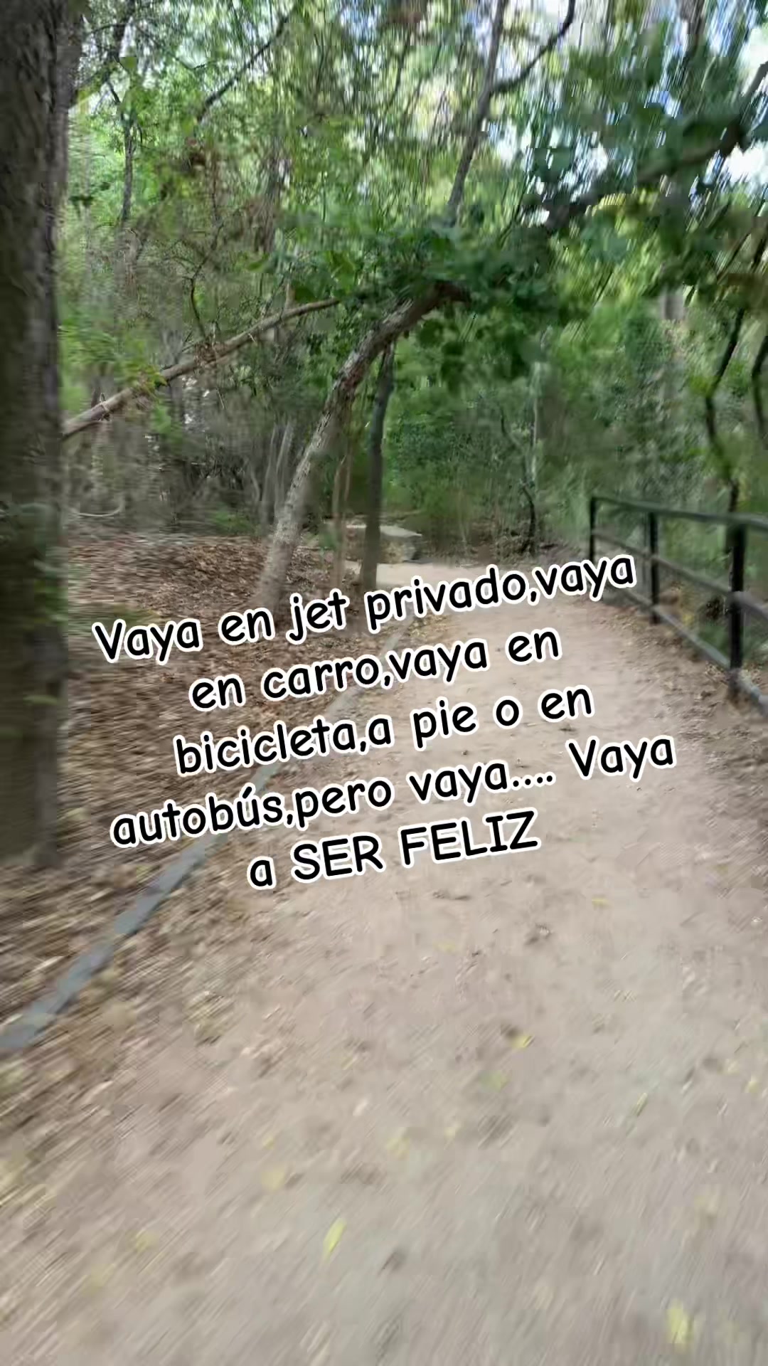 @antonia30k