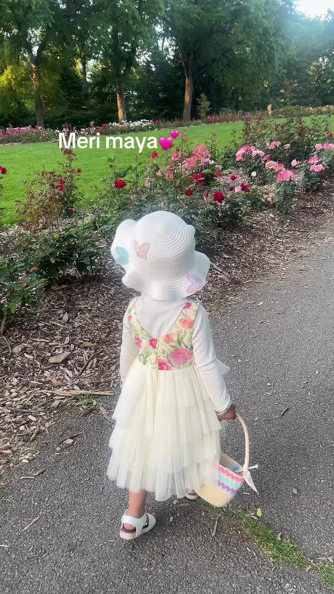 @Dipshikha lama