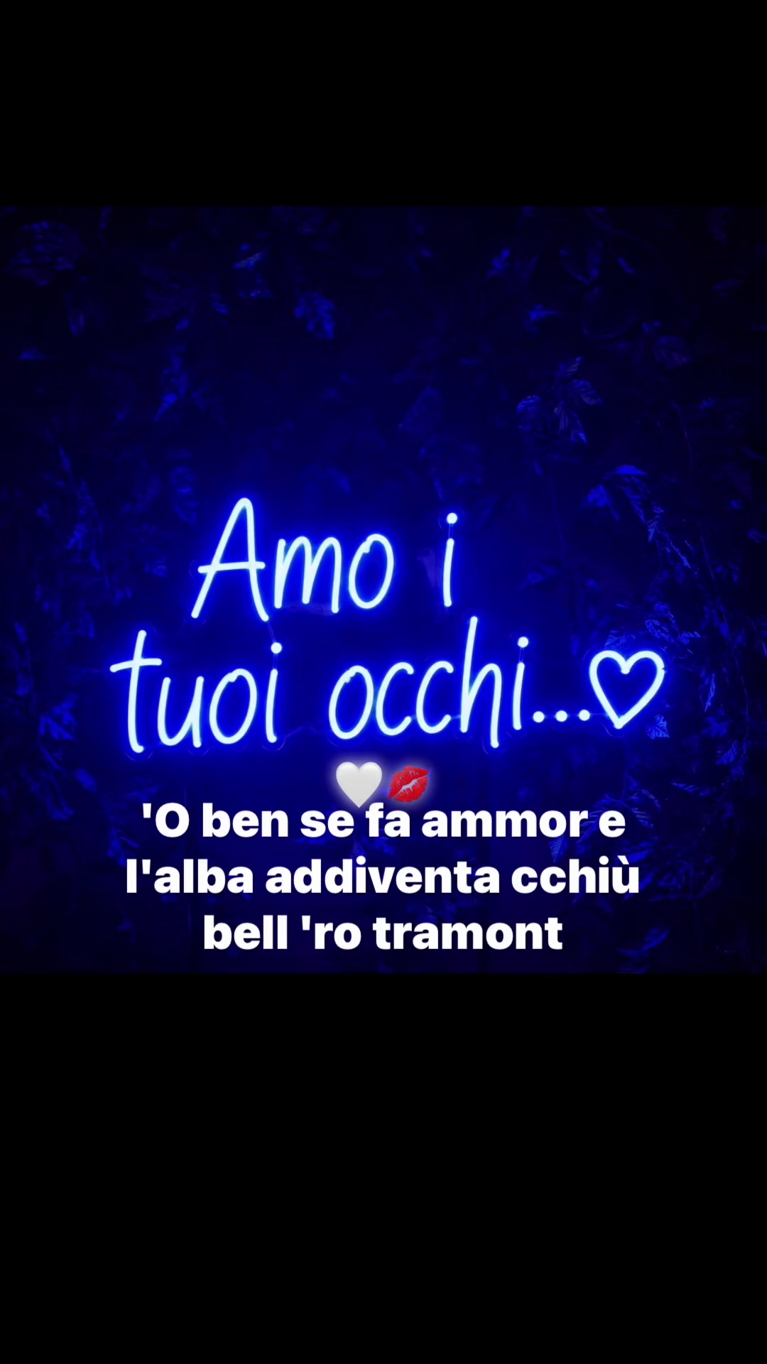 @video.statiii🤍👑