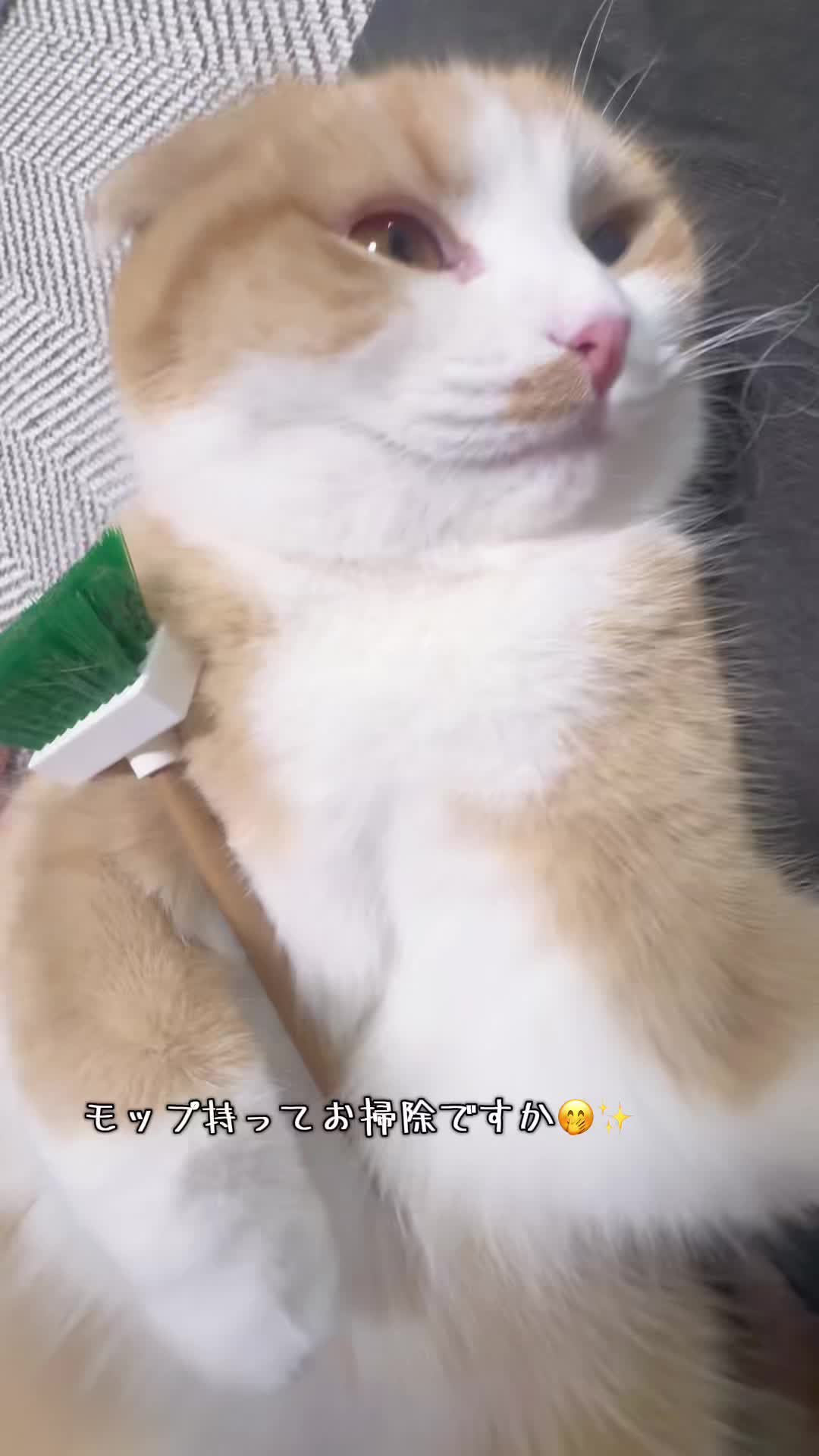 @マロン