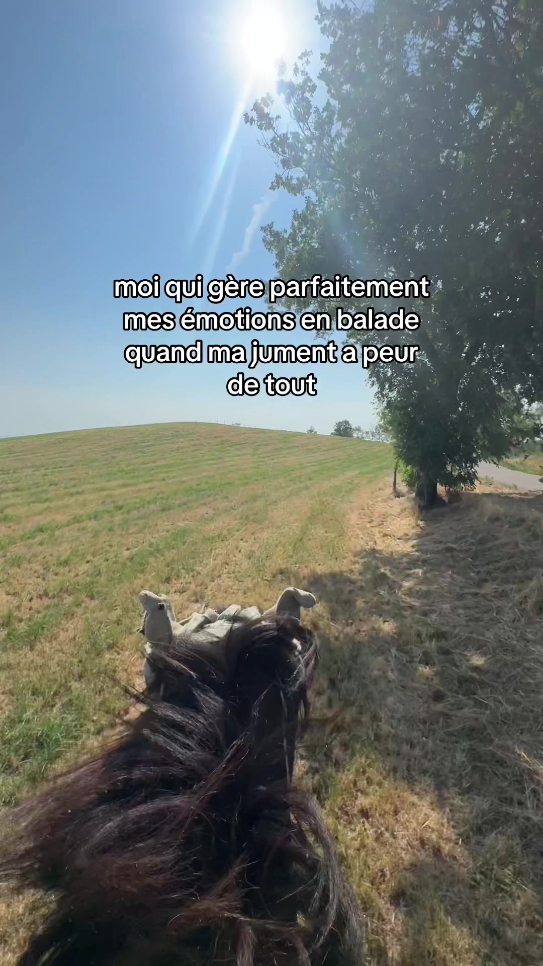 @Seren the pony 🐴