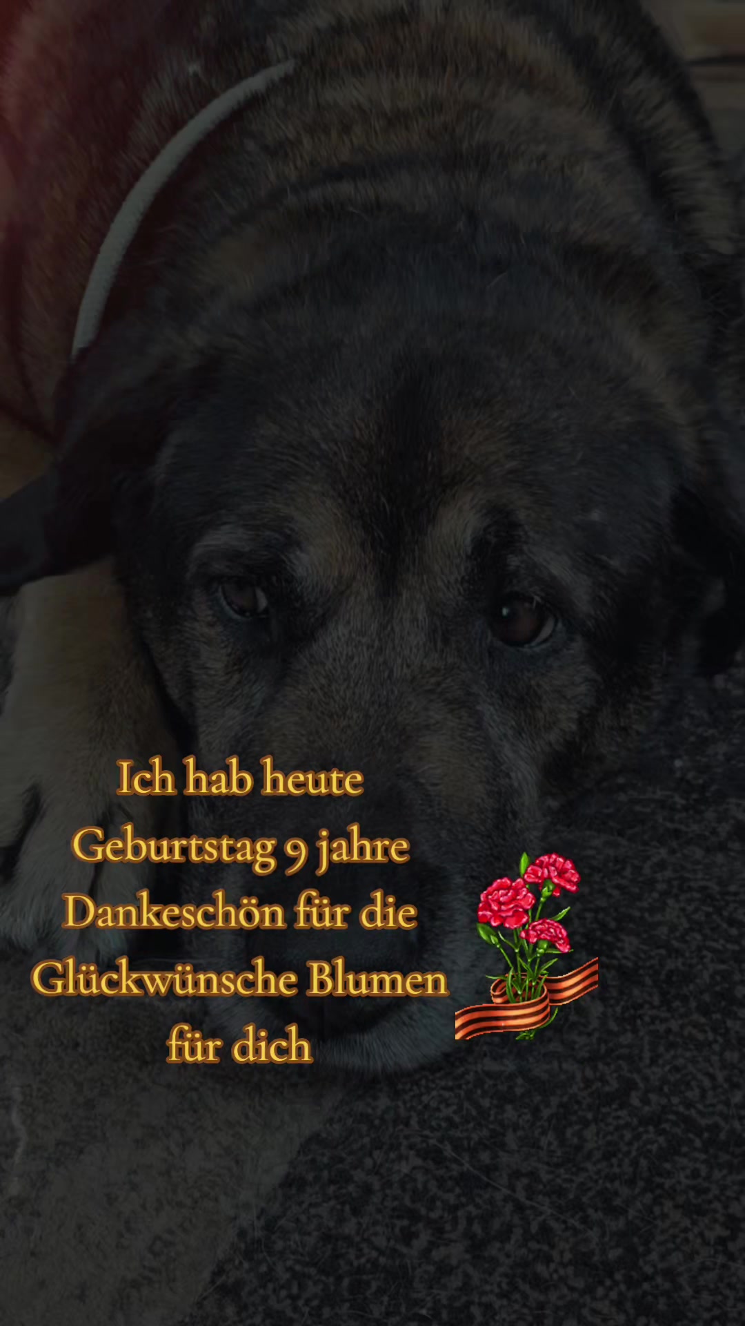 @💝Olle💜Emma🤎Fritz💟Mutti💌