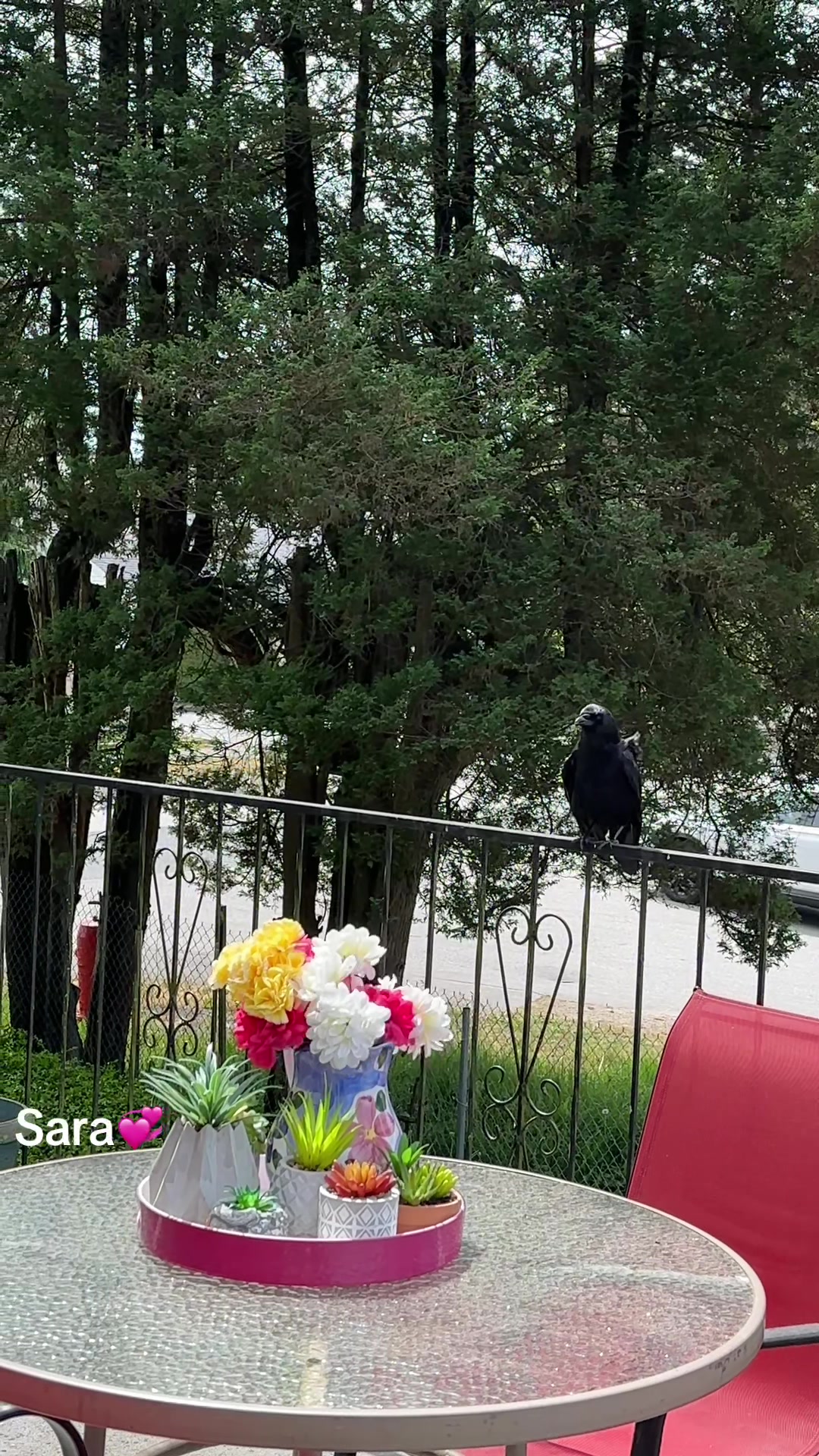@💞💞Sara💞💞