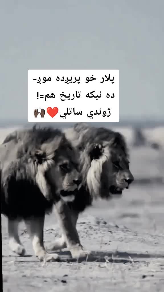 @(🥷🏿خــــوږيـاڼــي🥷🏿)🇦🇫🫀