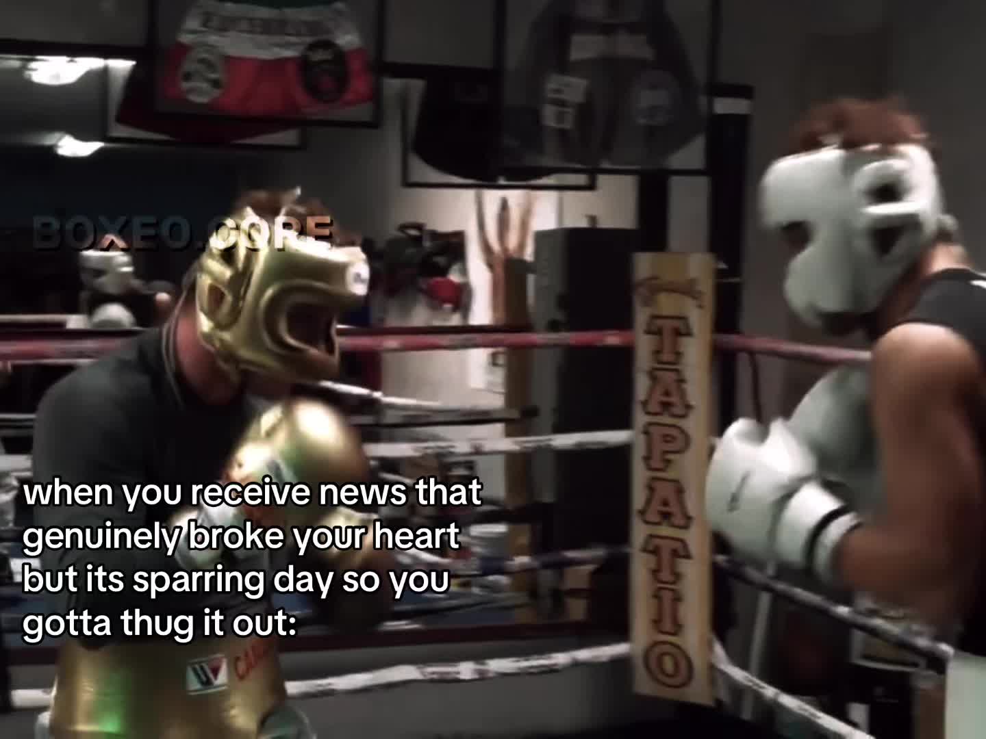 @boxeo.core