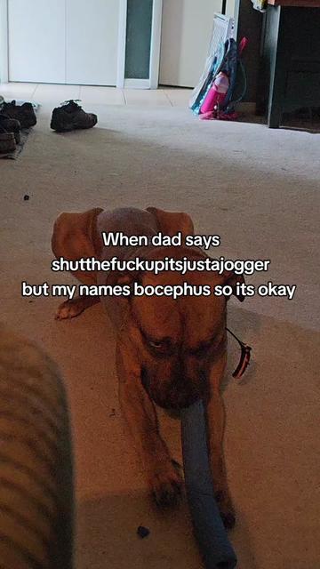 @CirusThaVirus