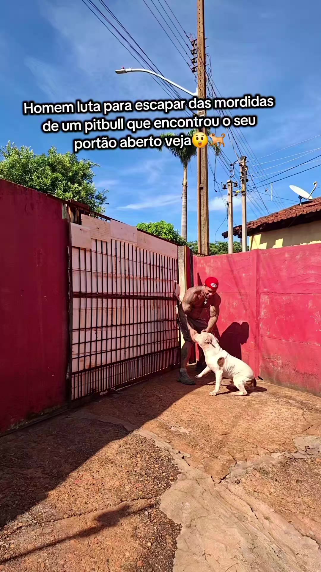 @🏹⃤Denis Juan 🏹⃤
