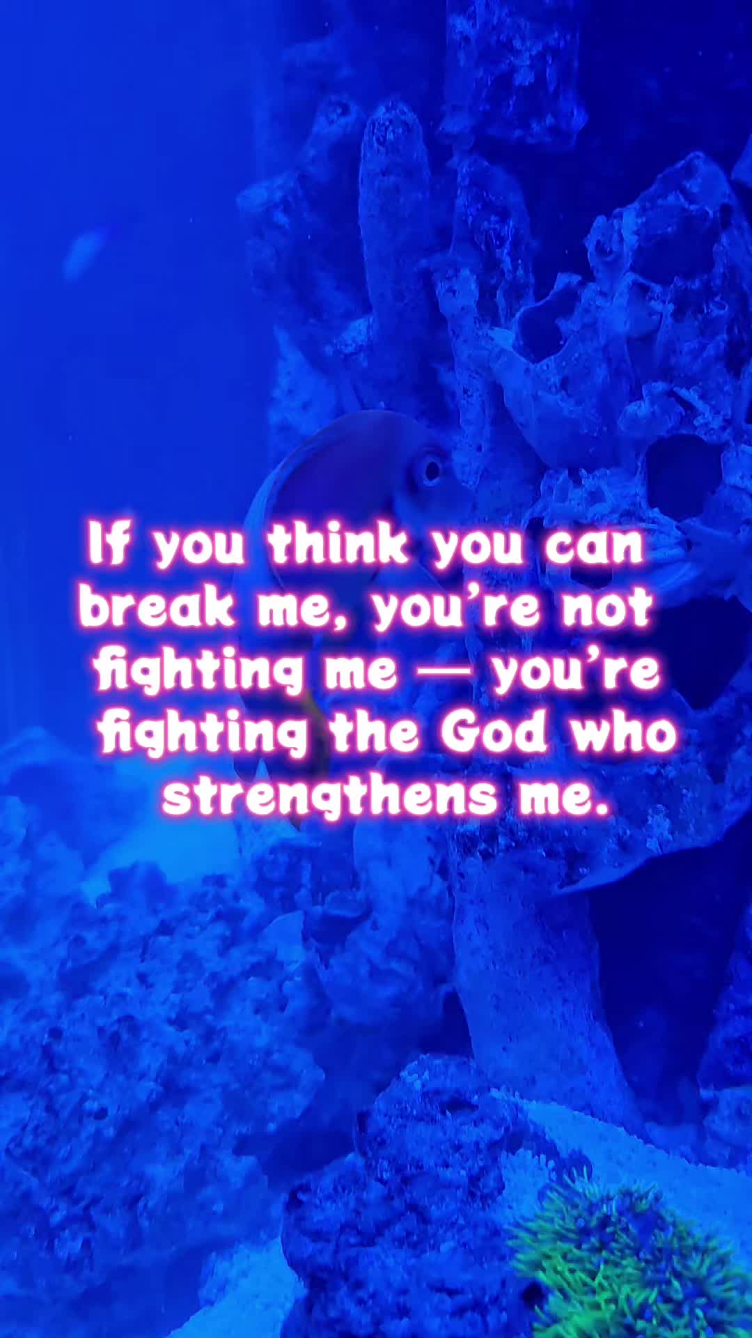 @The Last King