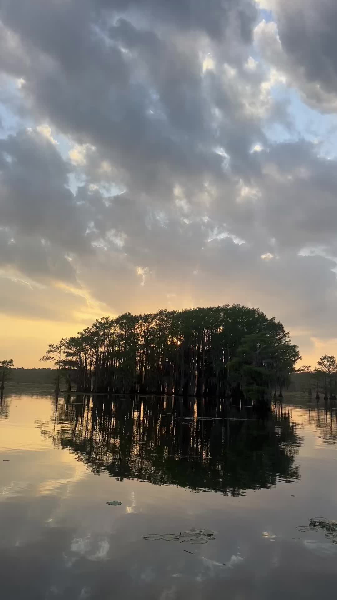 @Caddo Lake FirstCastCabin