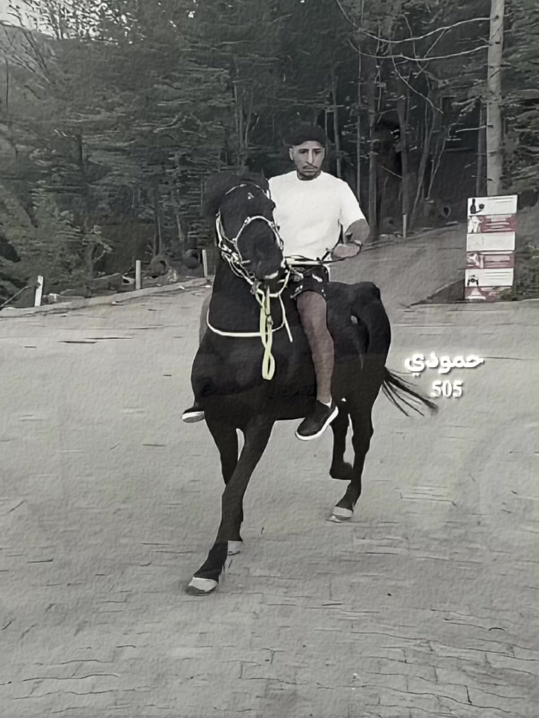 @حمودي|𝟓𝟎𝟓🪫(🥷🏻)