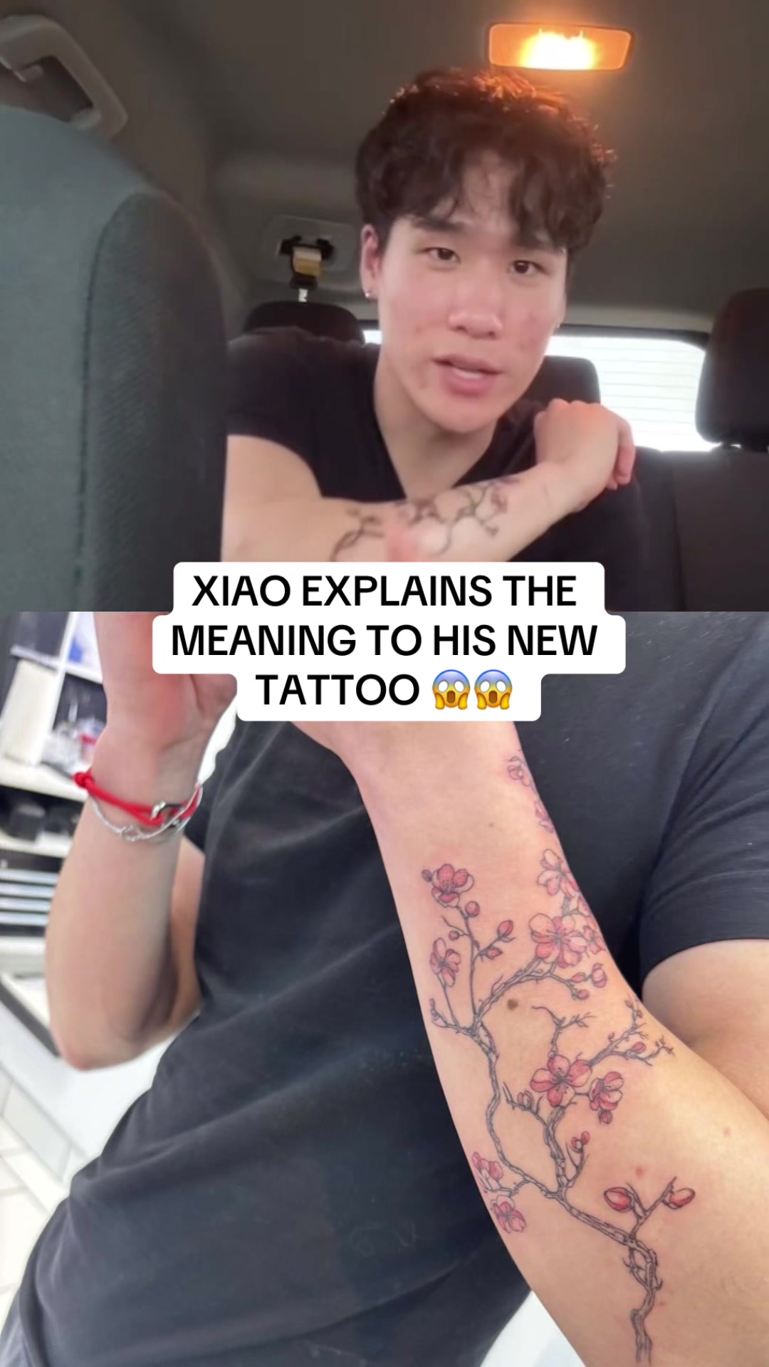 @xiaoglizzyfan1