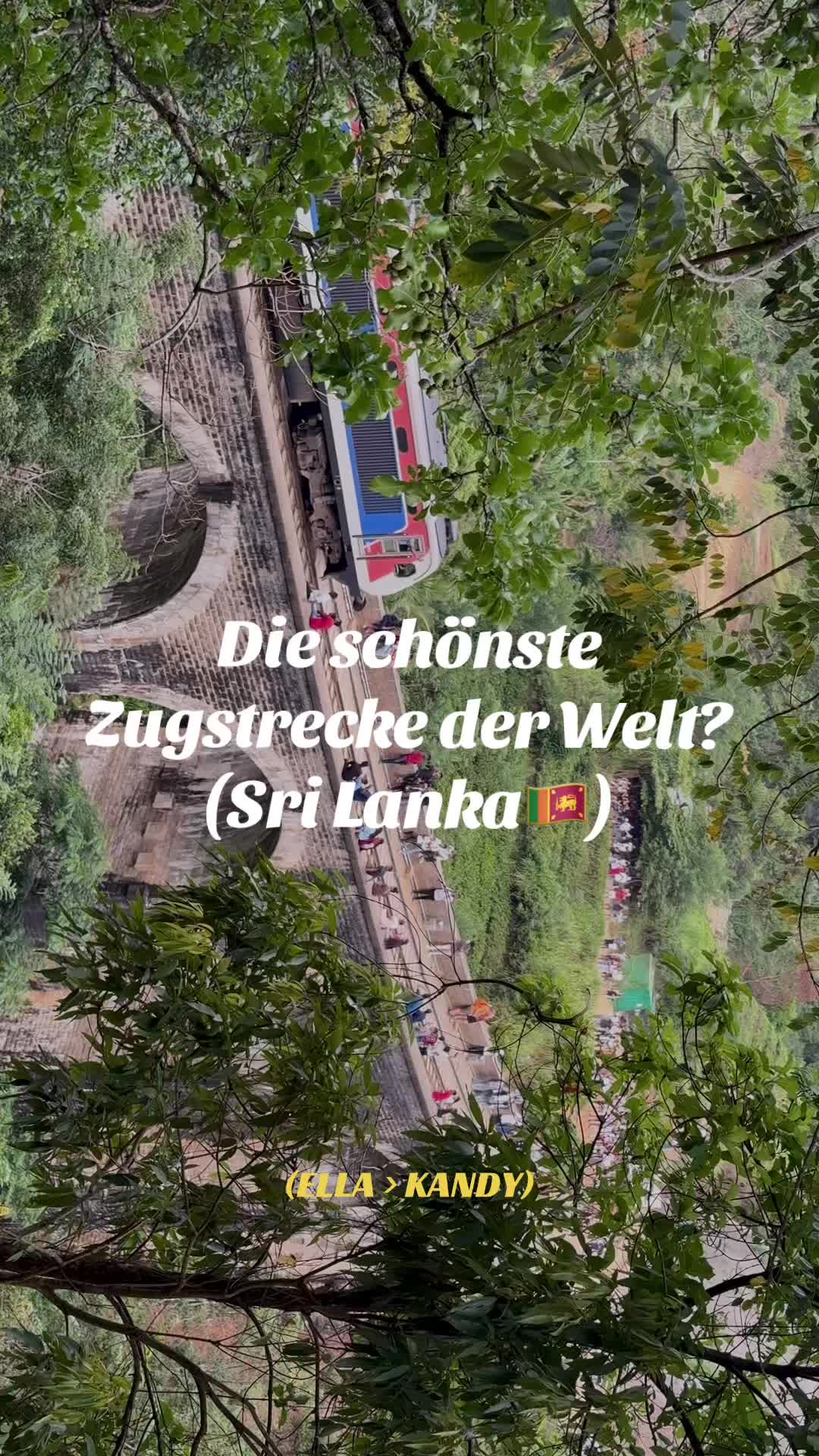 @wideeangel