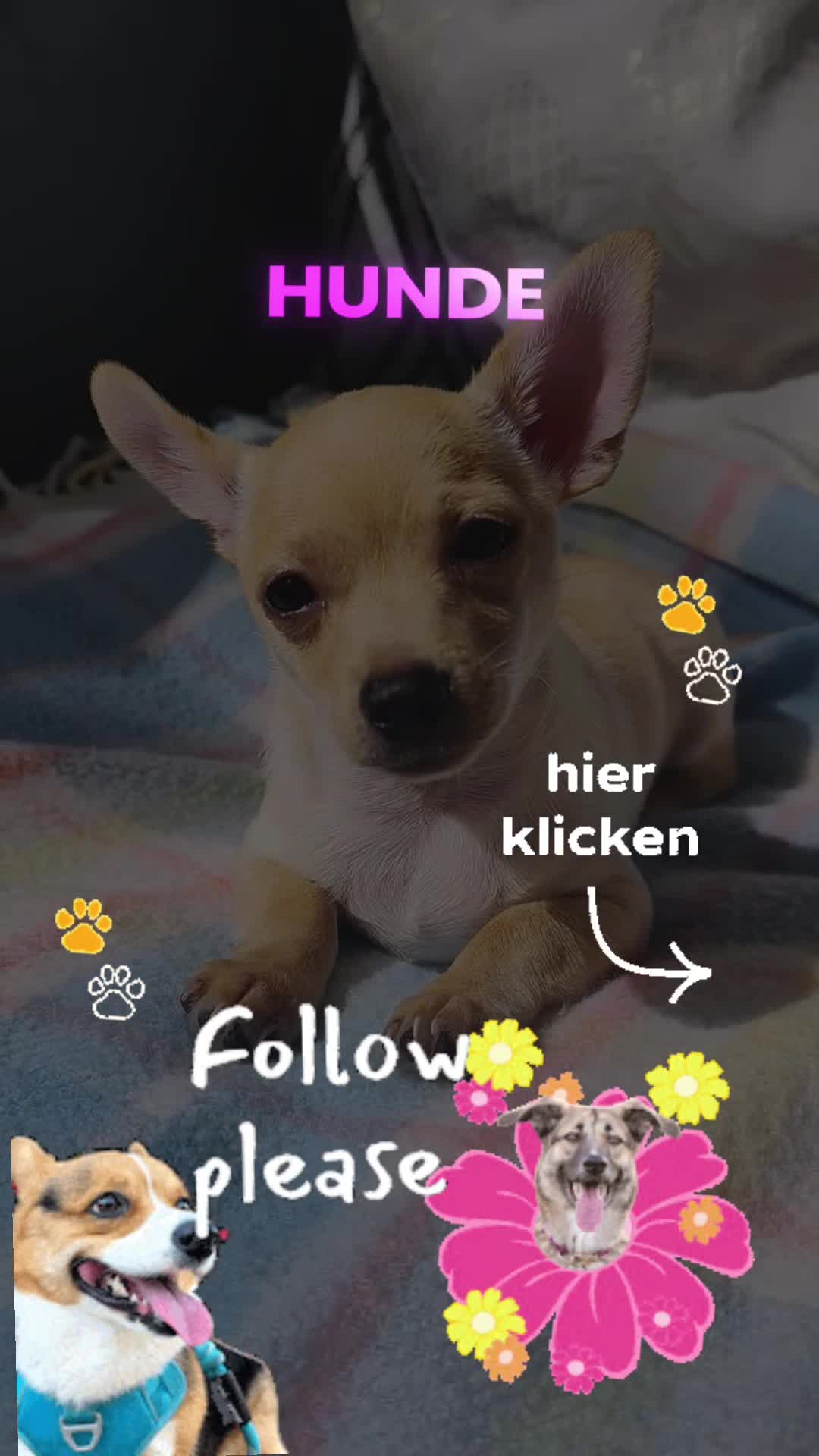 @๐บ๊ฅ๐บ ๐๐จ๐ฏ๐_๐๐ข๐ฑ๐ข ๐บ๊ฅ๐บ