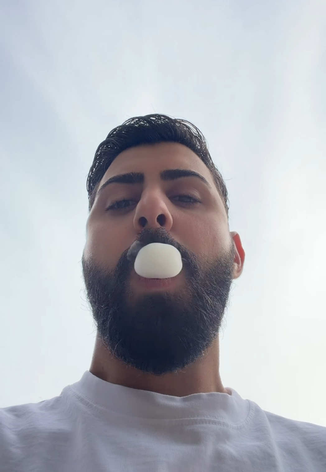 @CEO