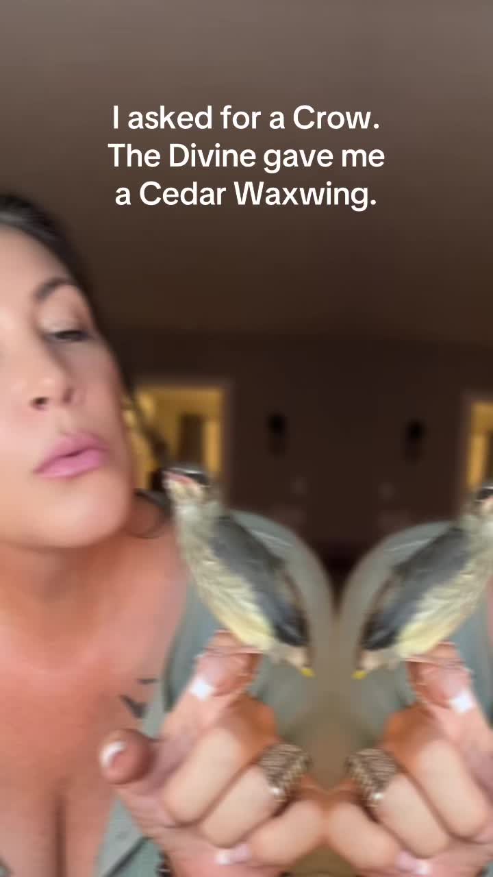 @afterthewake