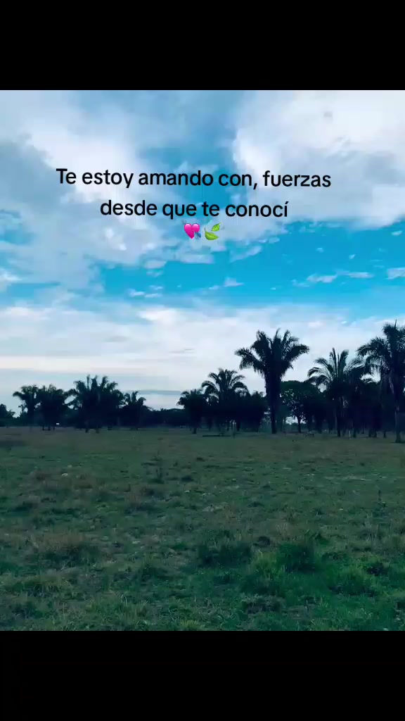 @𝓡𝓮𝓲𝓶𝓲 𝓡.⚡.