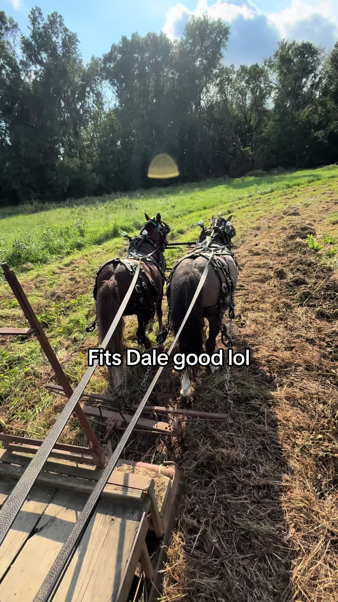 @cj
