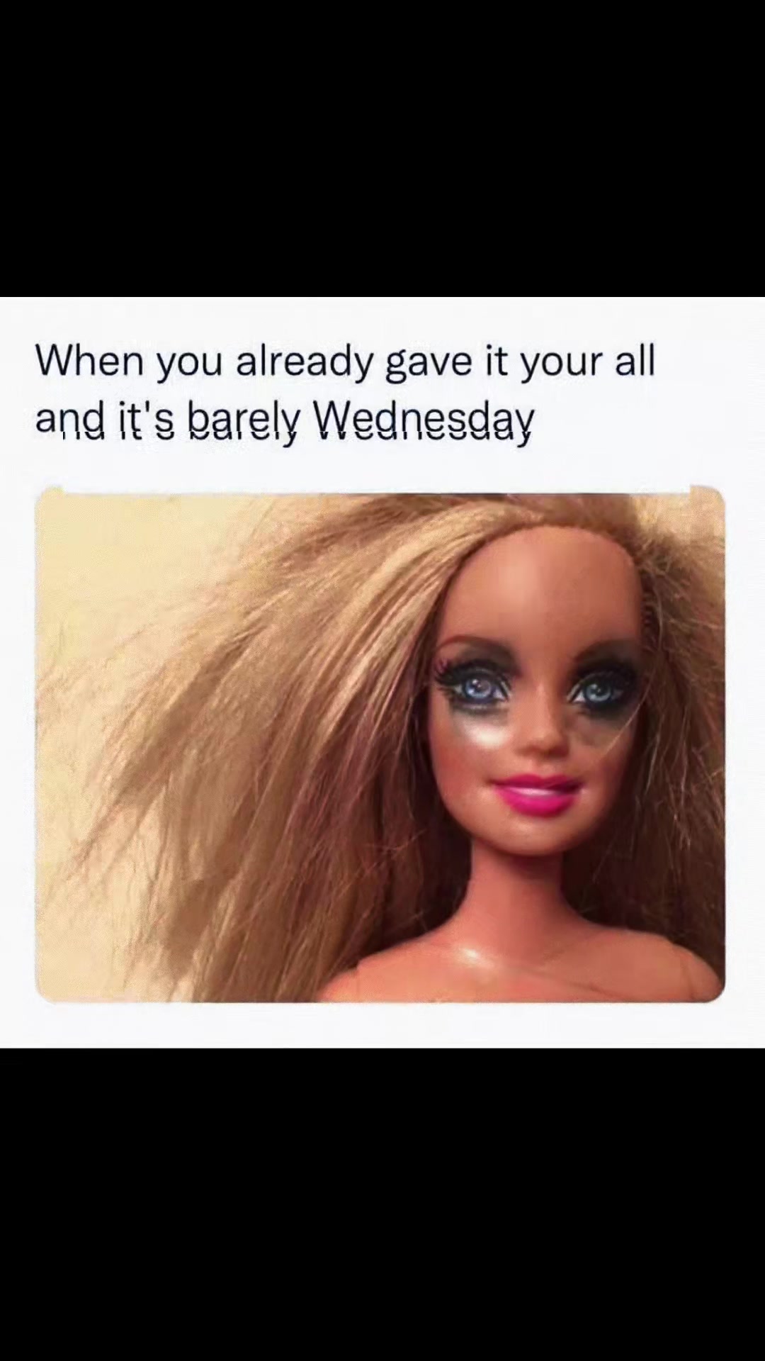 @tashanorthcutt948