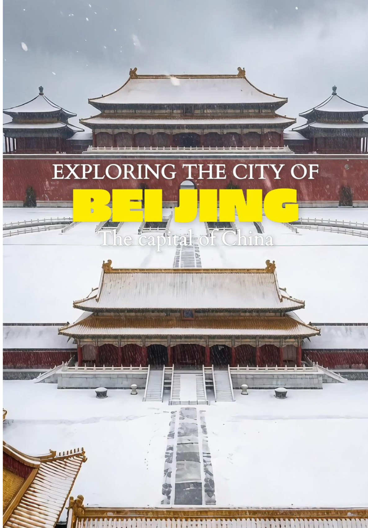 @youyouxing.travel