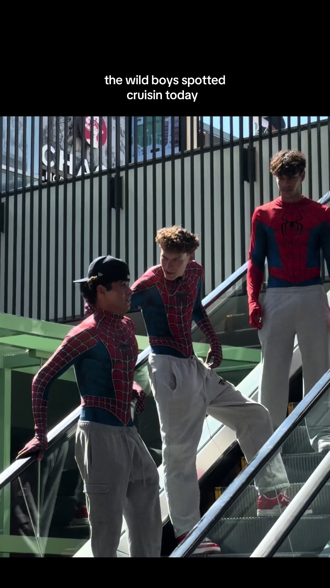 @THE WILD BOYS FANPAGE