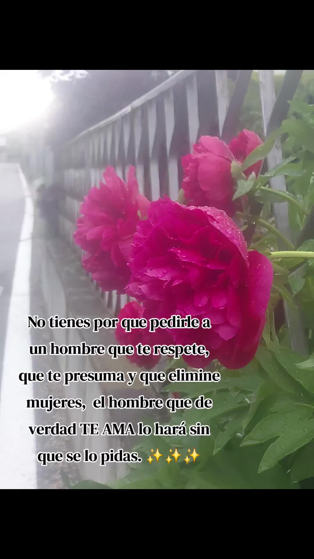 @María Teresa