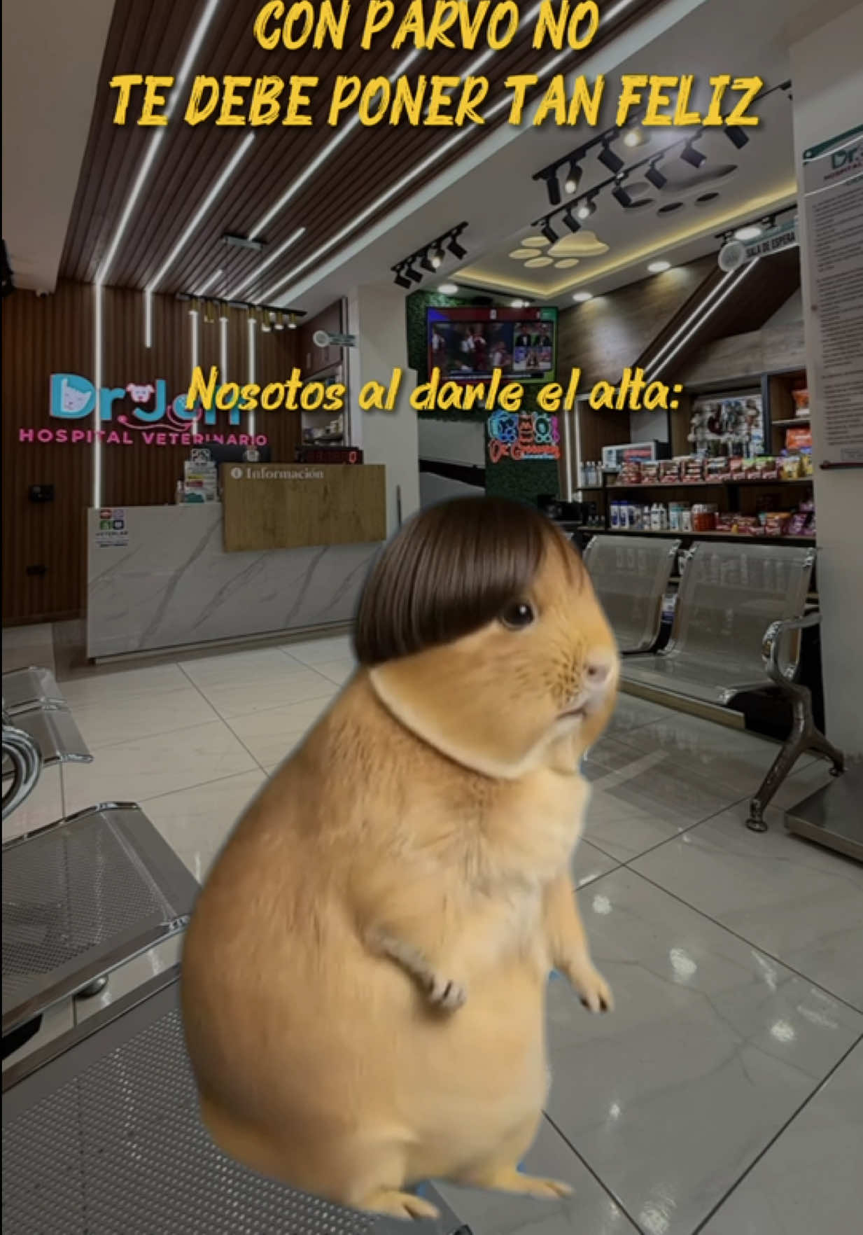@David Aragundi Bazurto ⚕️🐾