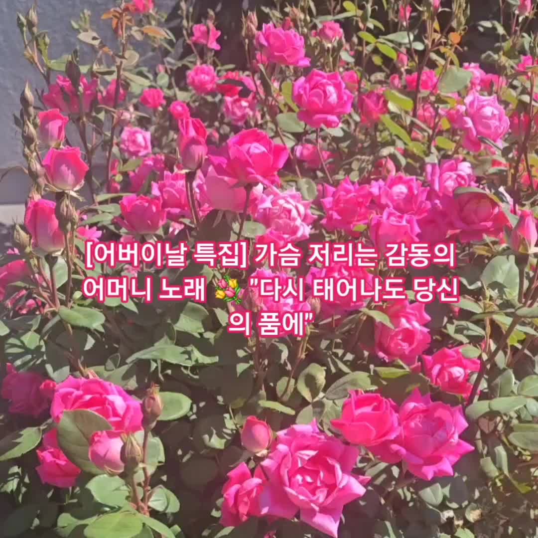 @Hyun An