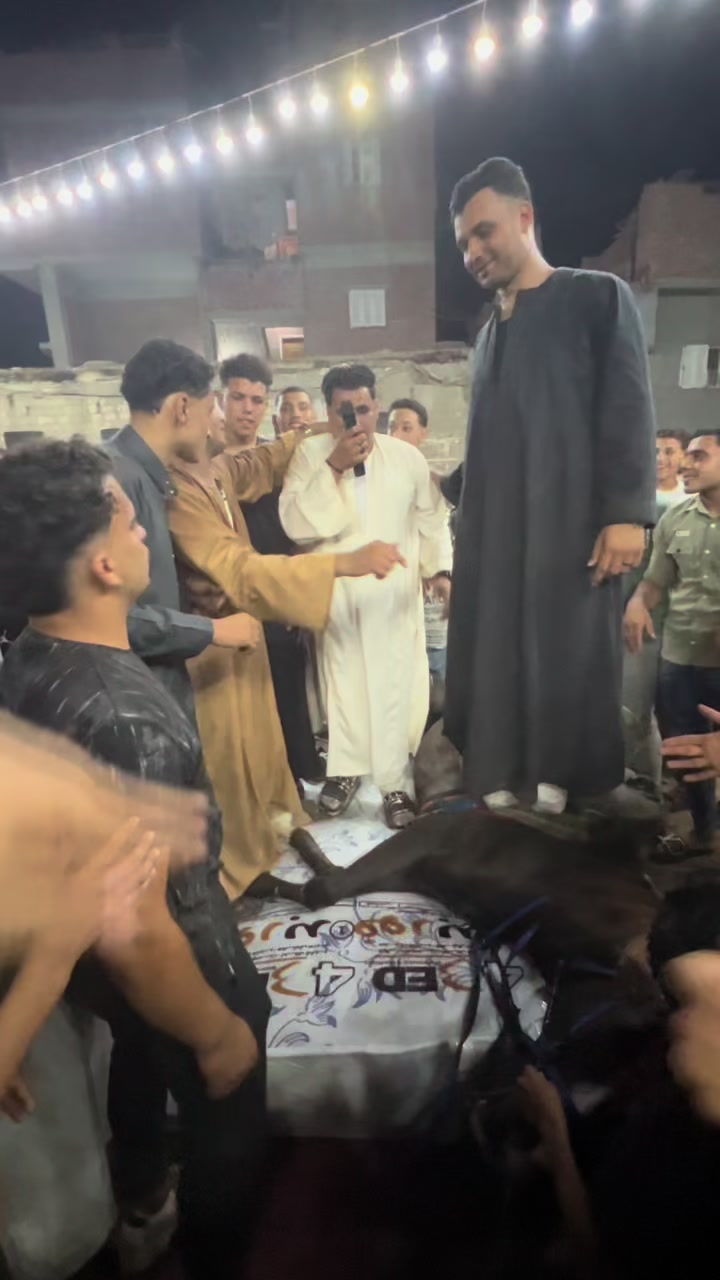 @الكابتن عبير🐎🥇🏆