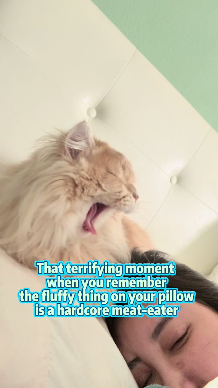 @WaggingTales