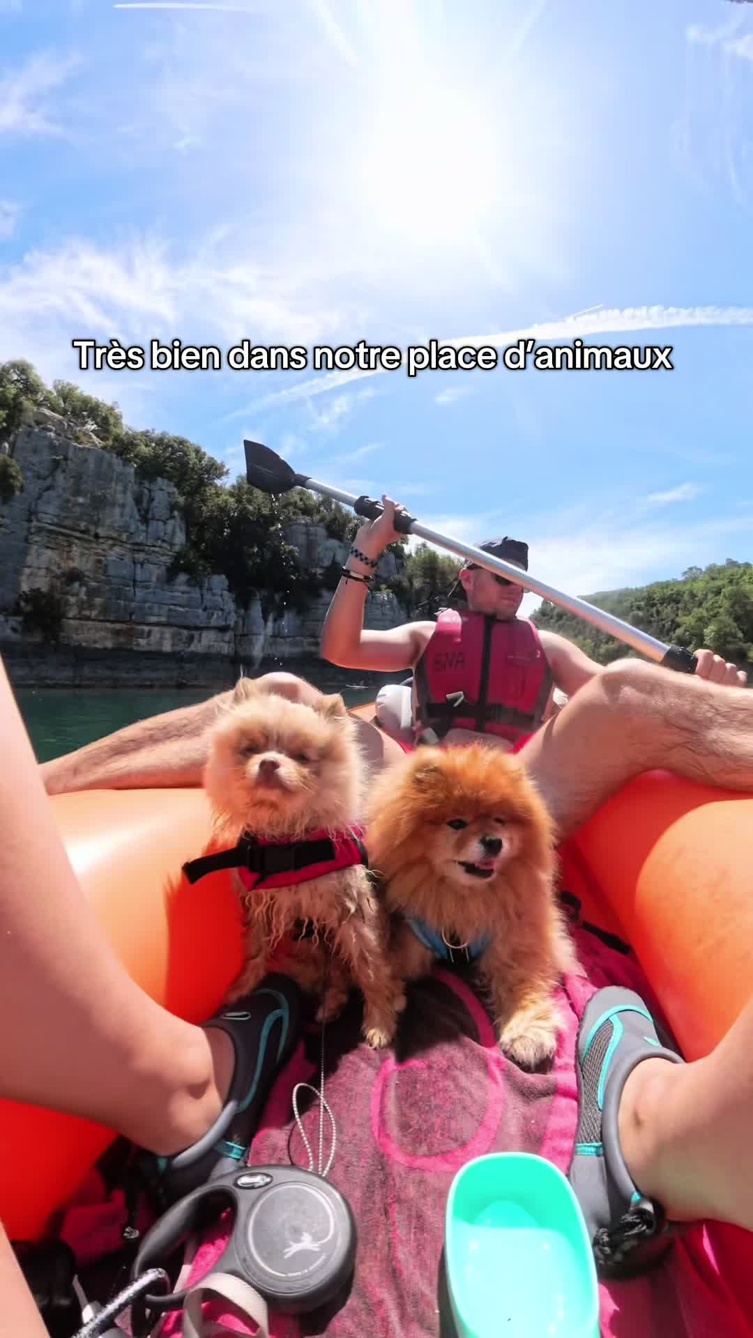 @pikanain