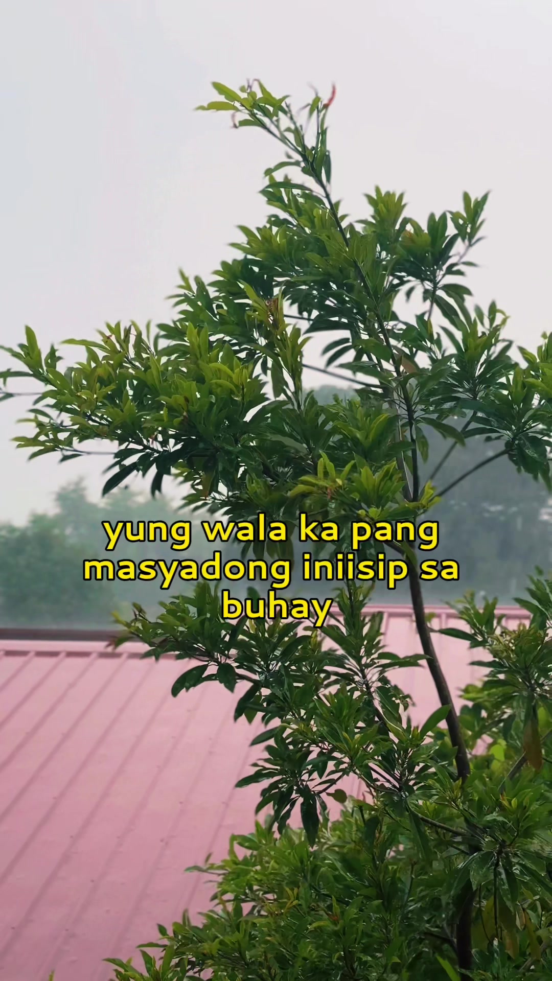 @Tanz