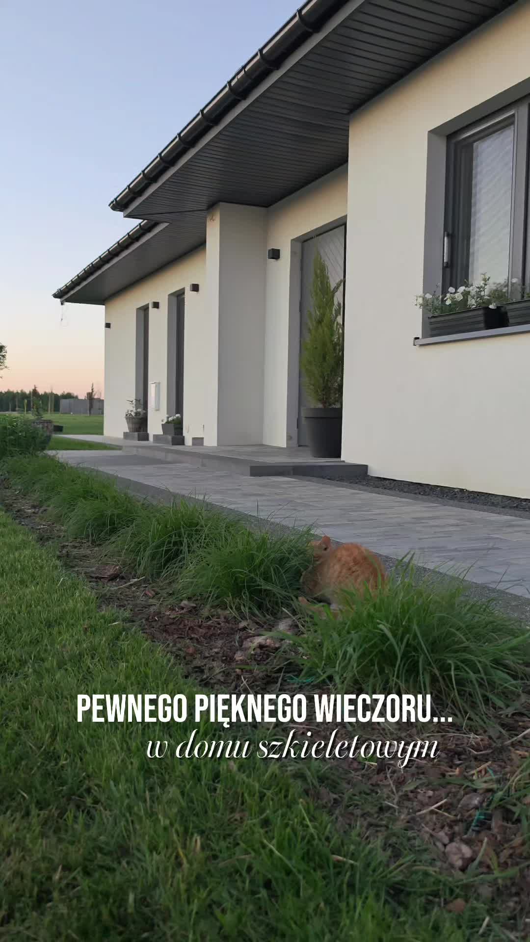 @moj_domszkieletowy