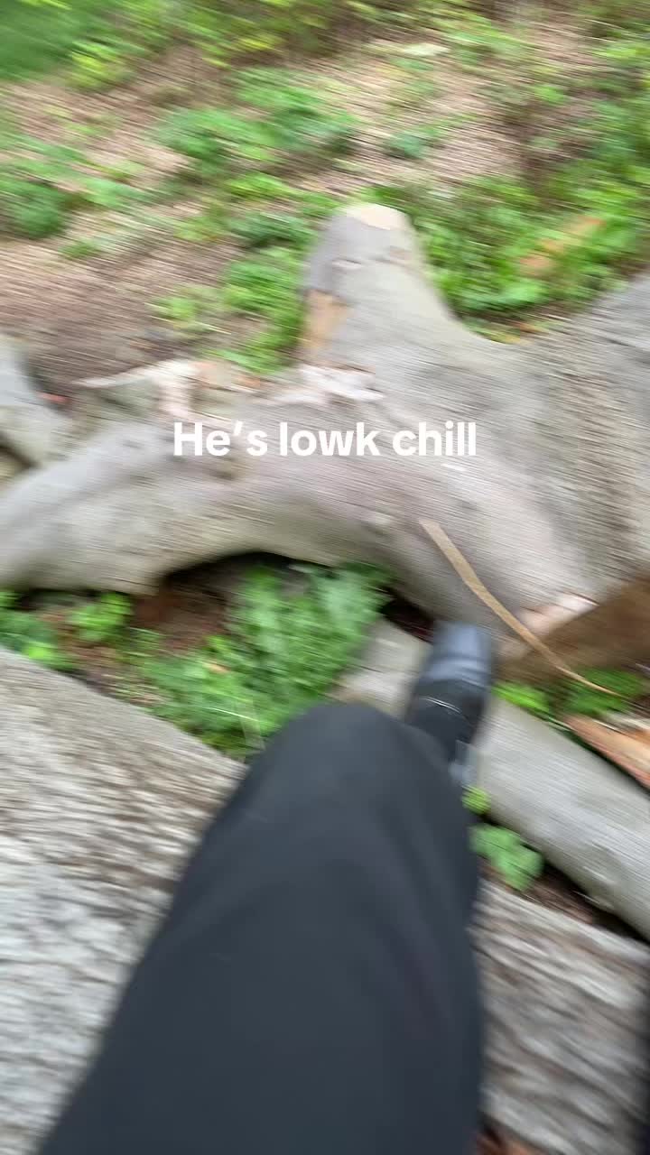 @Nikolas