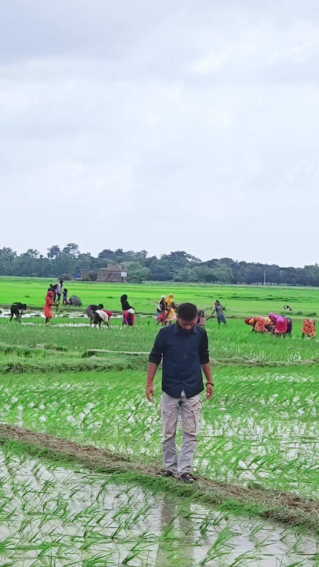 @Kausal mishra