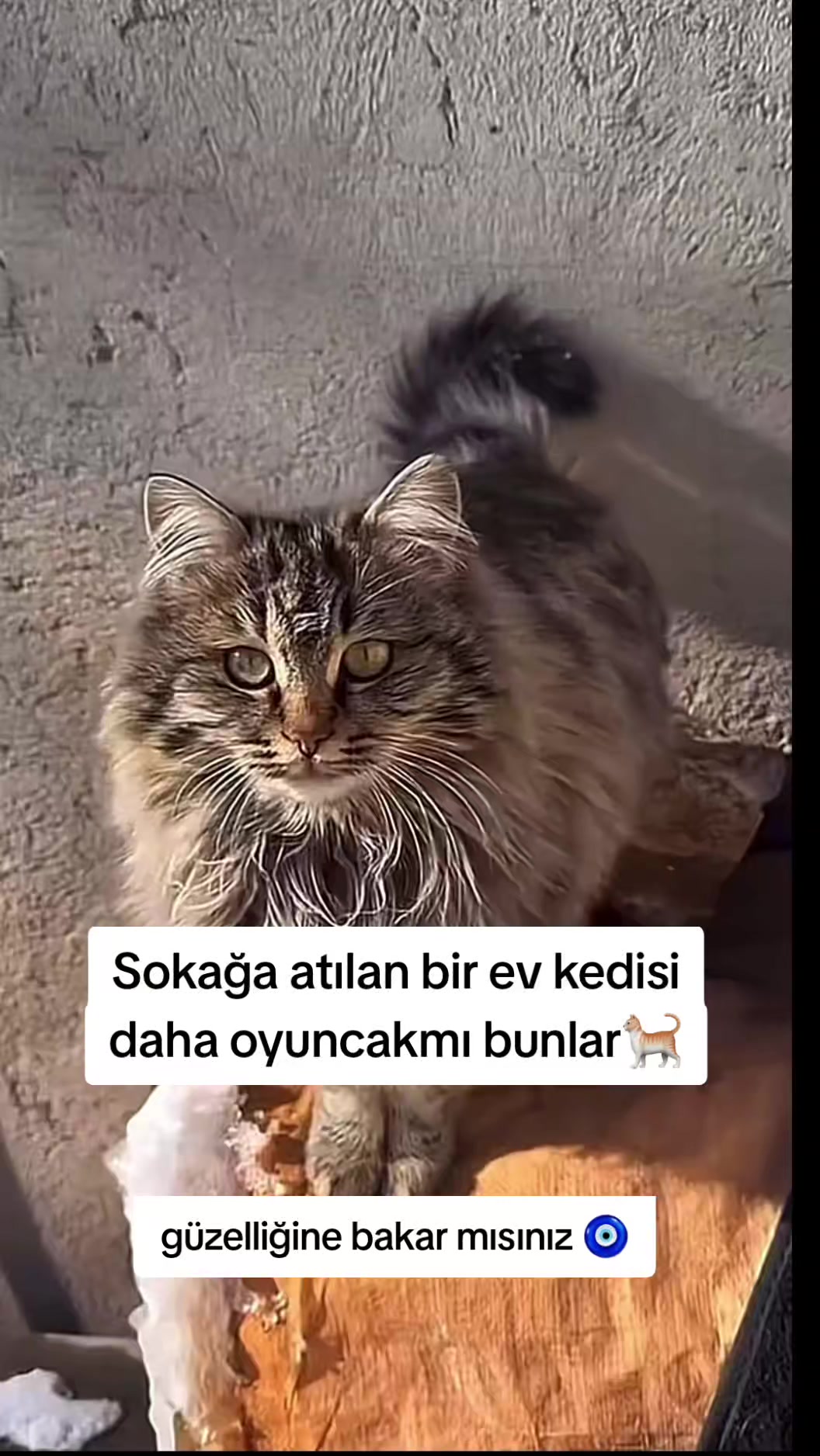 @MUSTAFA38