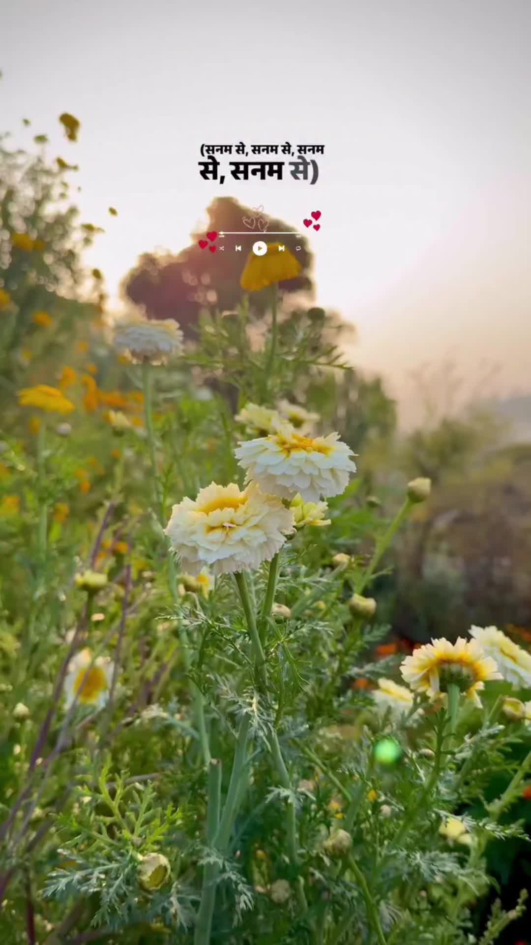 @Mannu Yadav