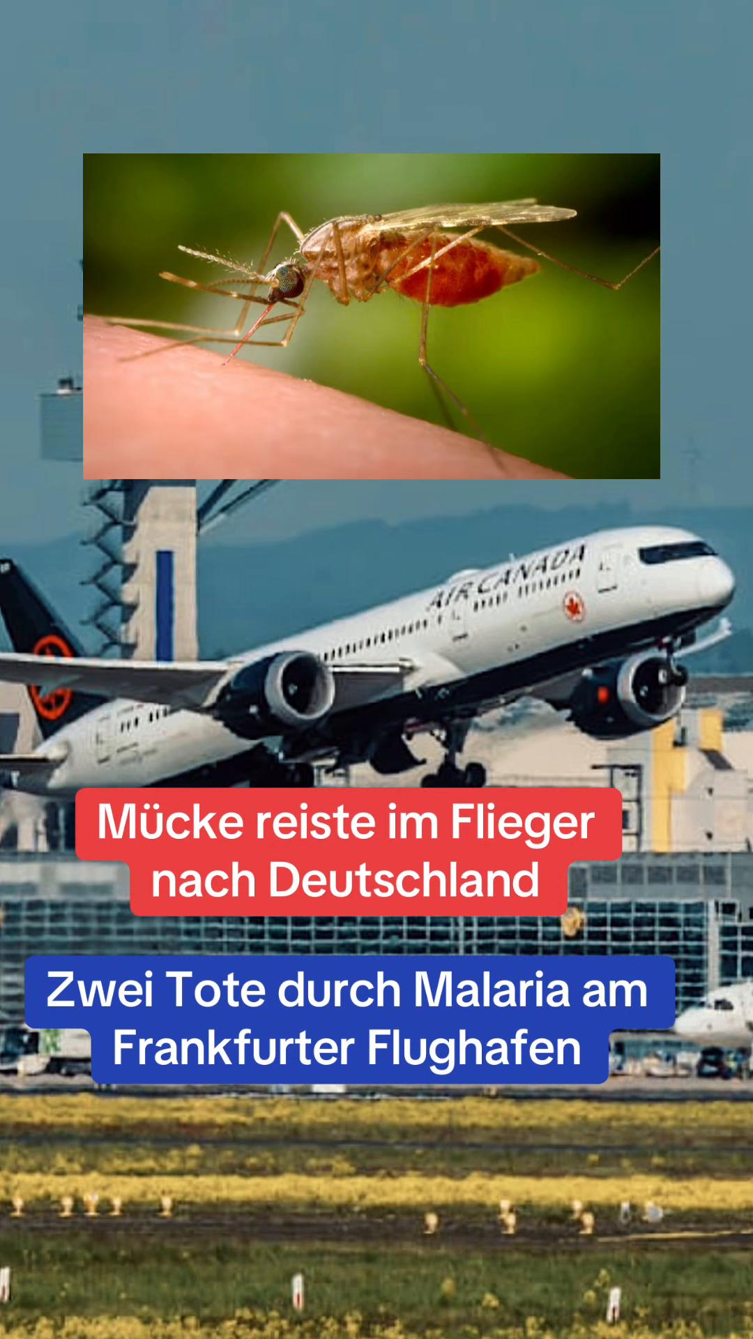 @BreakingNewsGermany3