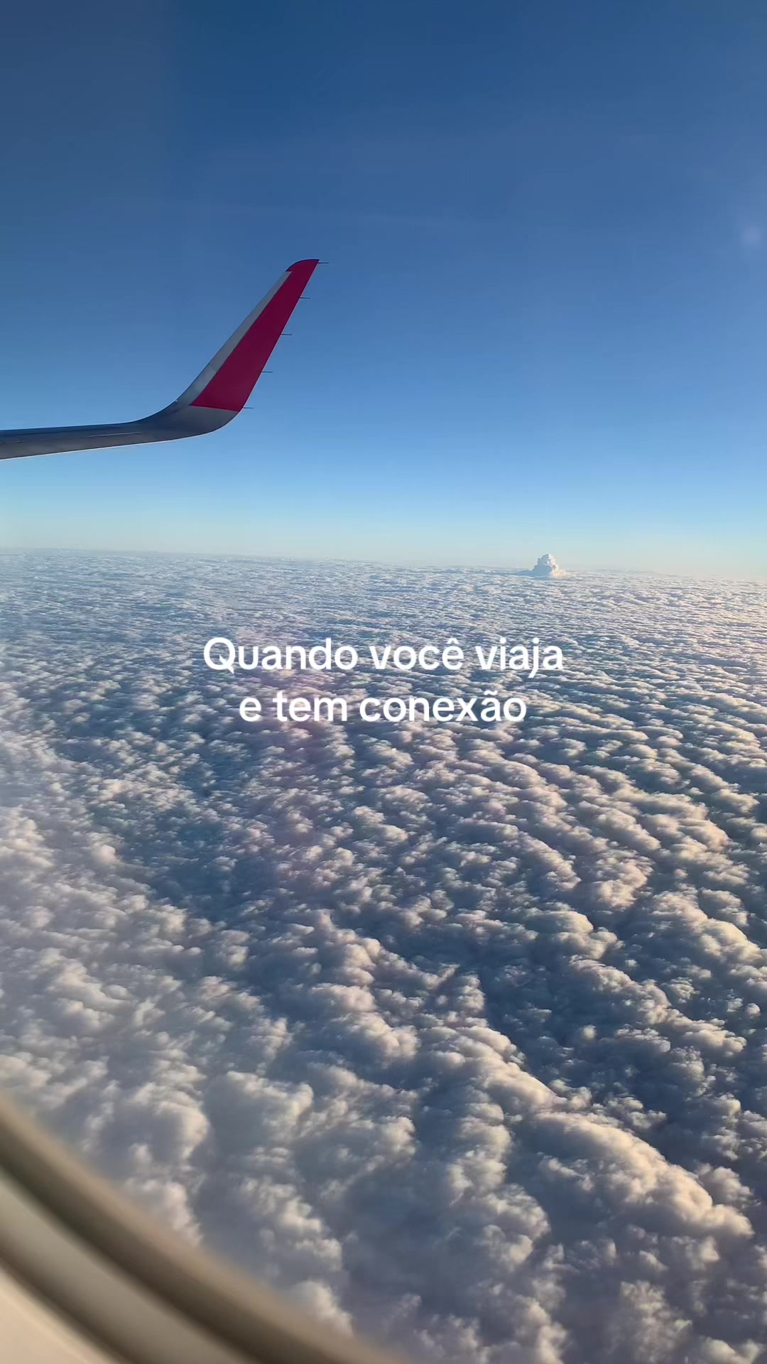 @anacampelob