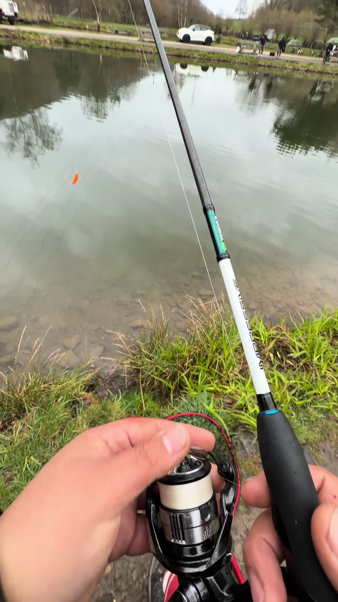 @Fishing_DP