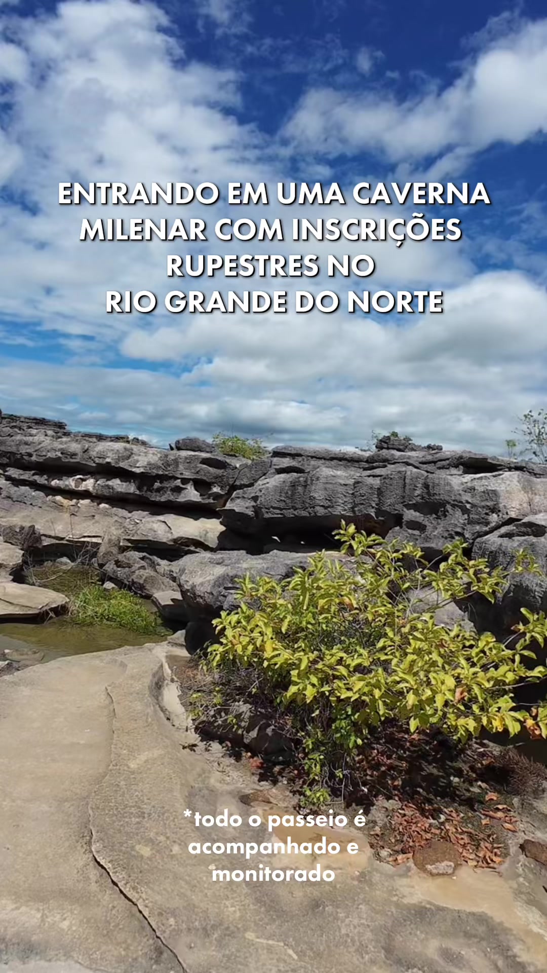 @Gabi Lima