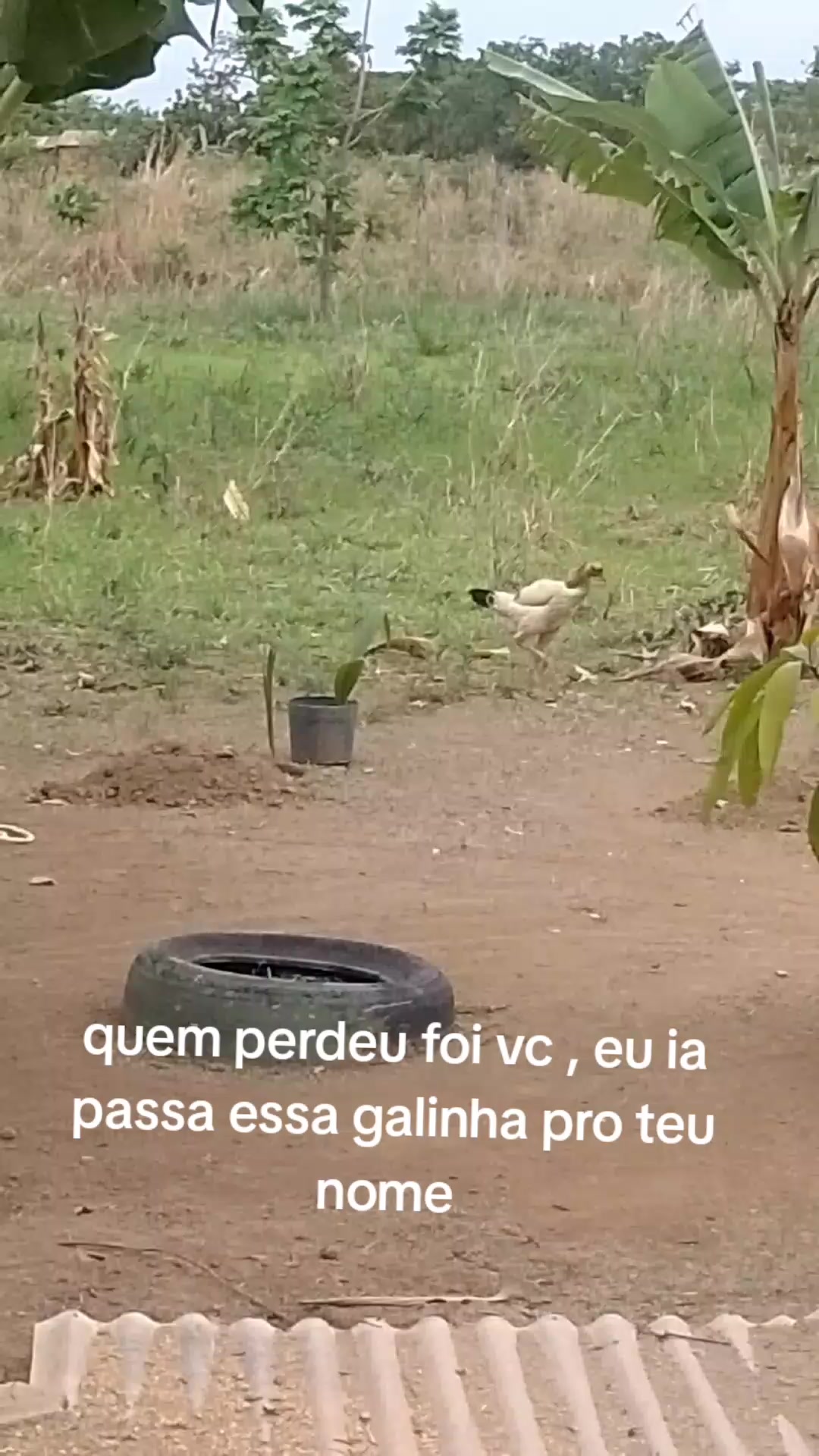 @eveliny376