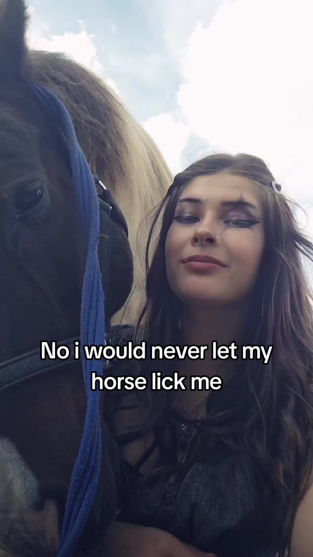 @Dino and horses