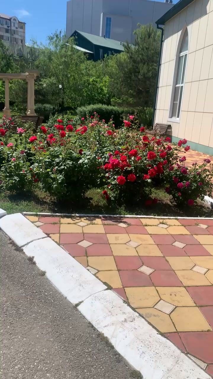 @Albinа85💝