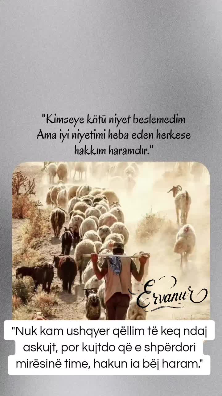 @✧ERVANUR✧