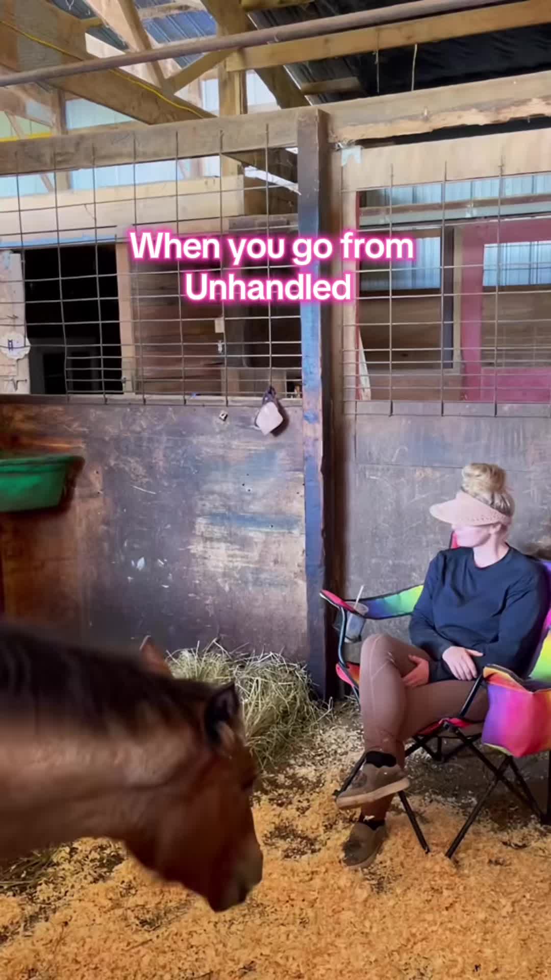 @Free Spirit Equestrian