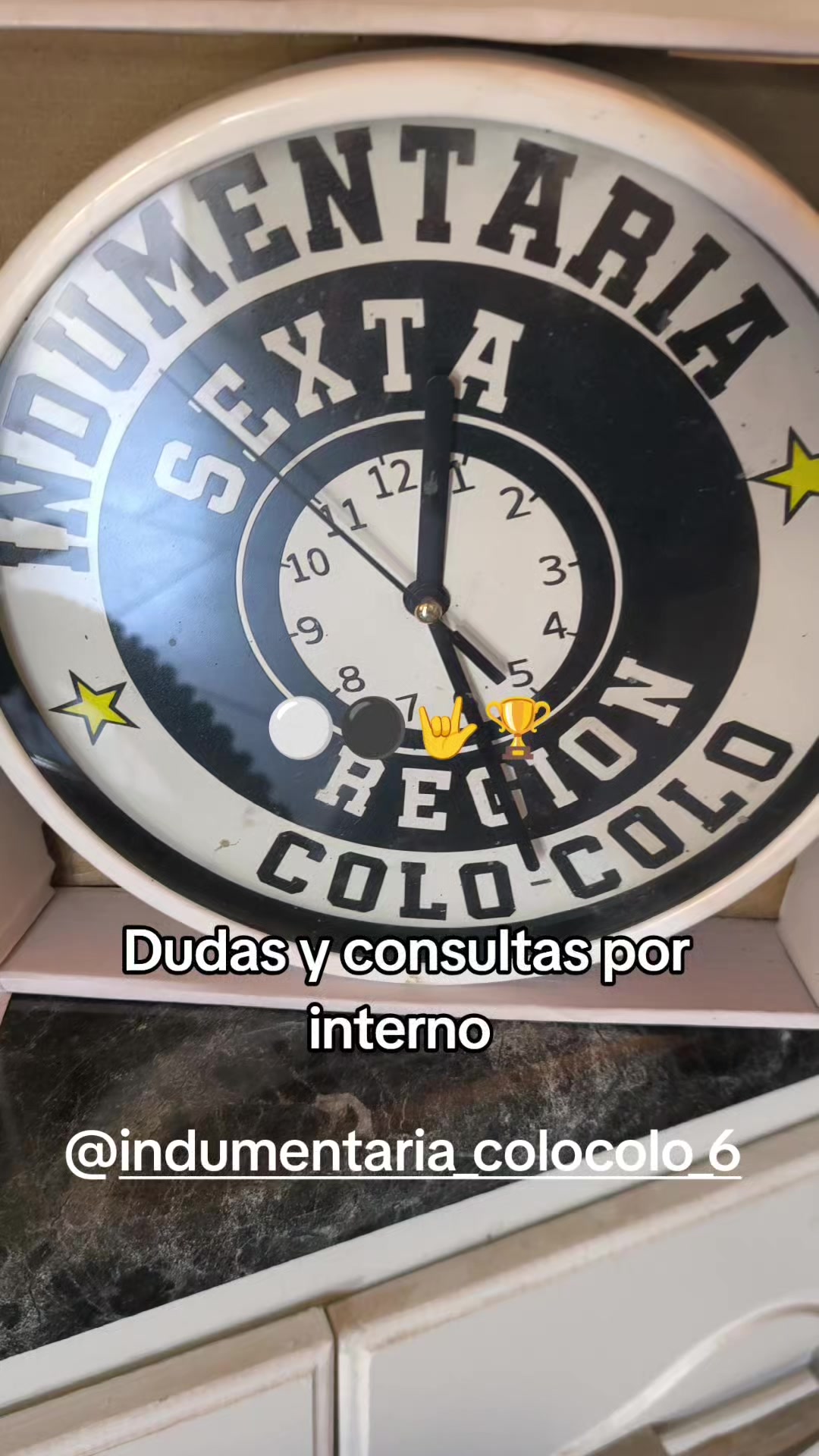 @indumentaria_colocolo_6