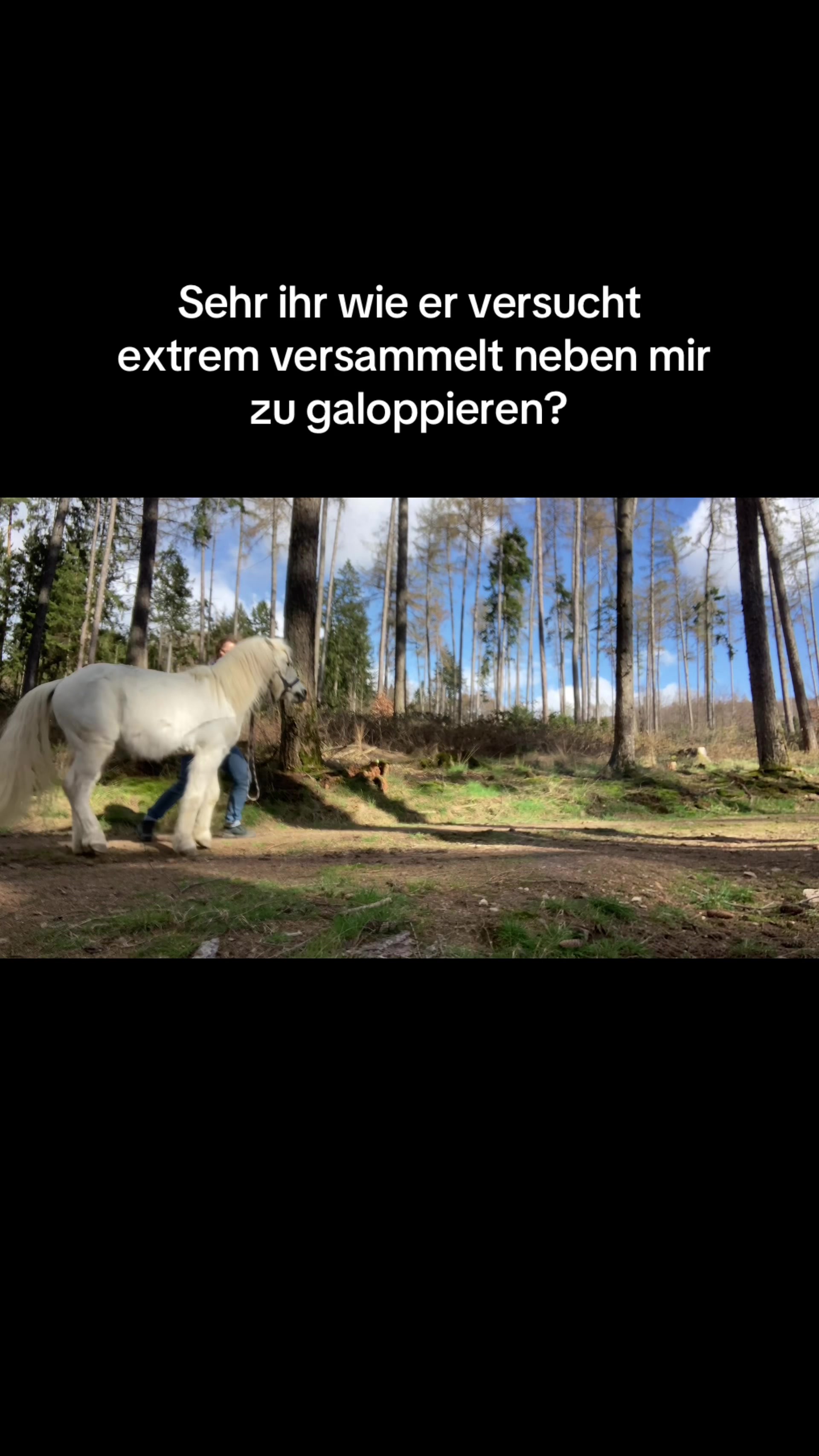 @Good Way Horses