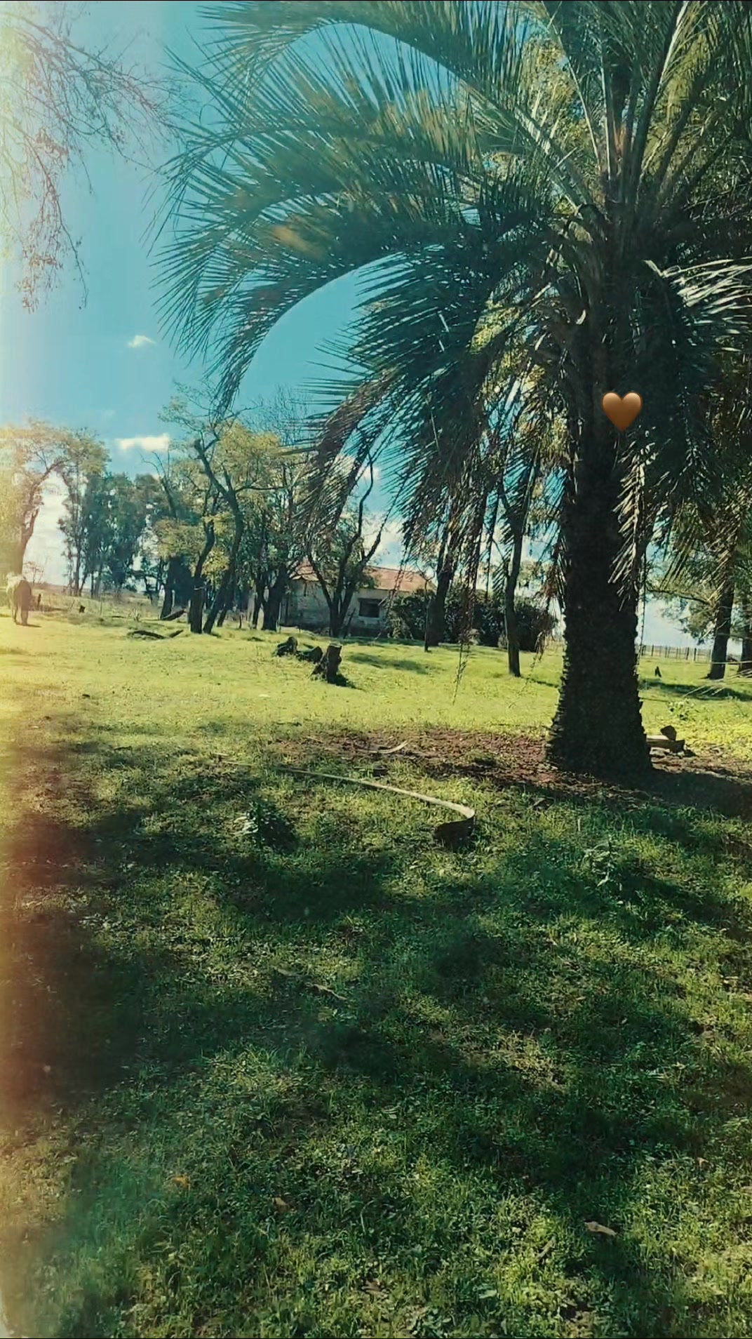 @Fiama Moreno