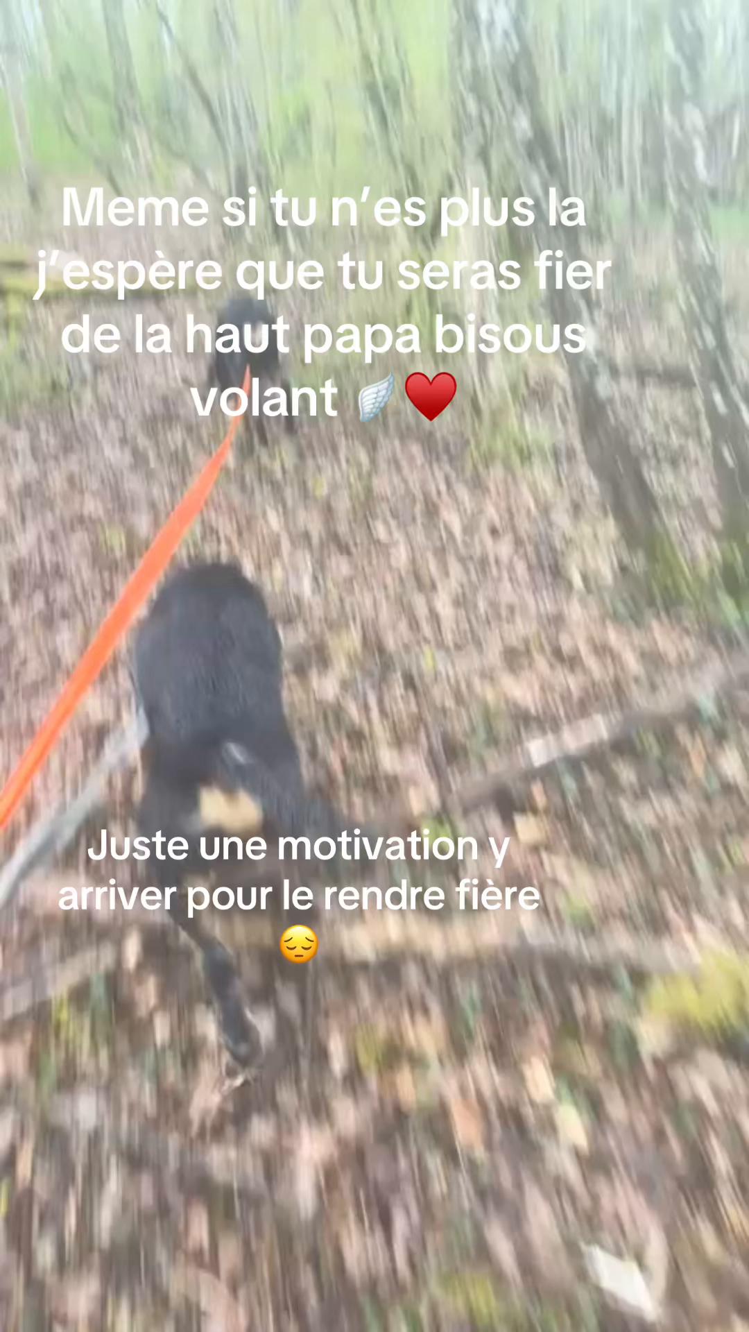 @Maxime Sugin