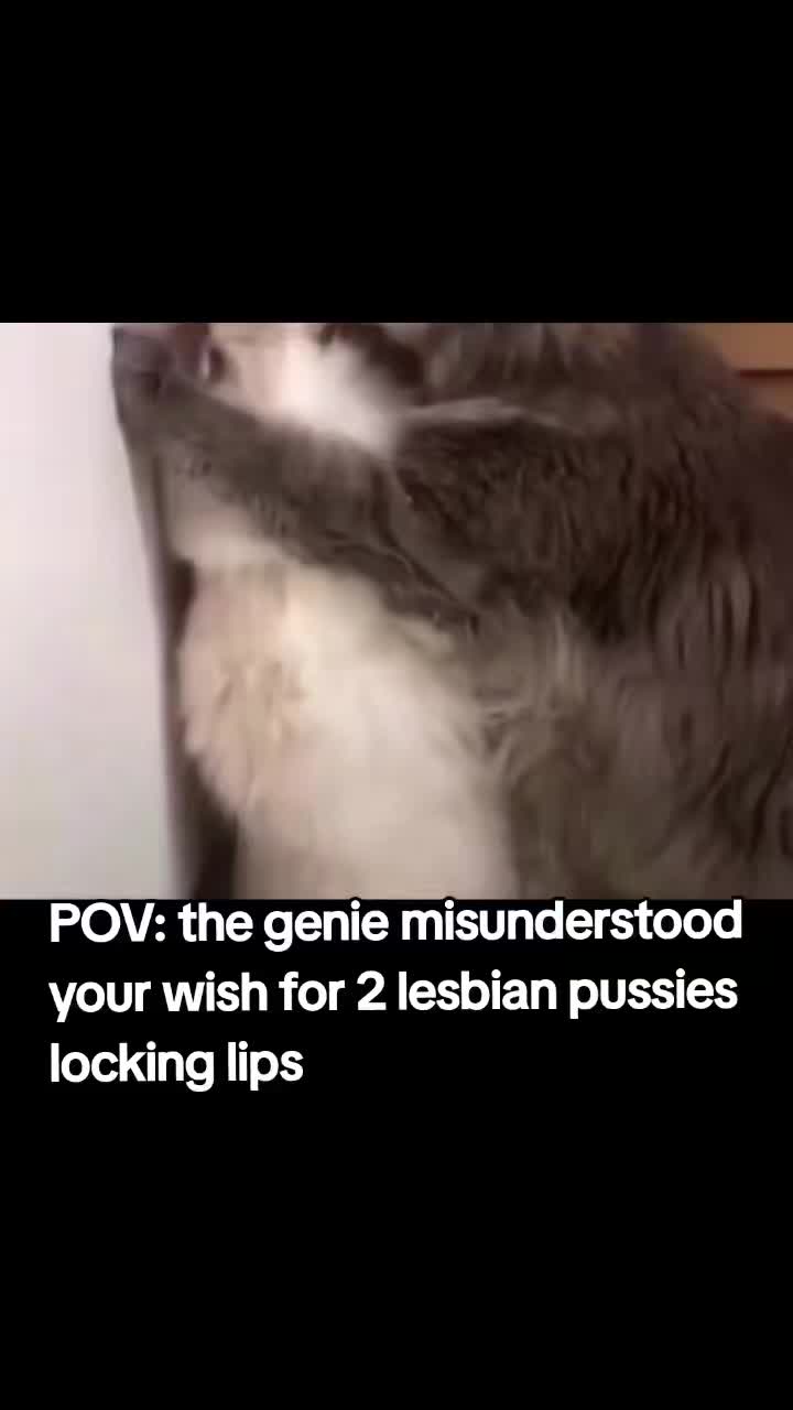 @unimenace
